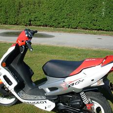 Peugeot Speedfight 2 R-cup(SOLGT)