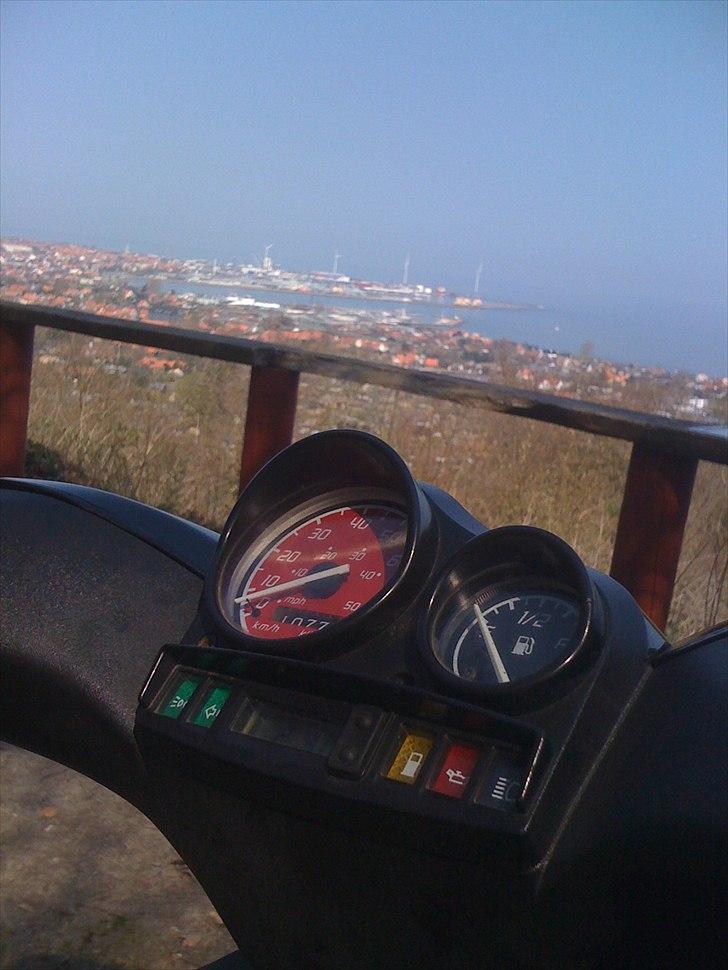 Gilera Stalker billede 9