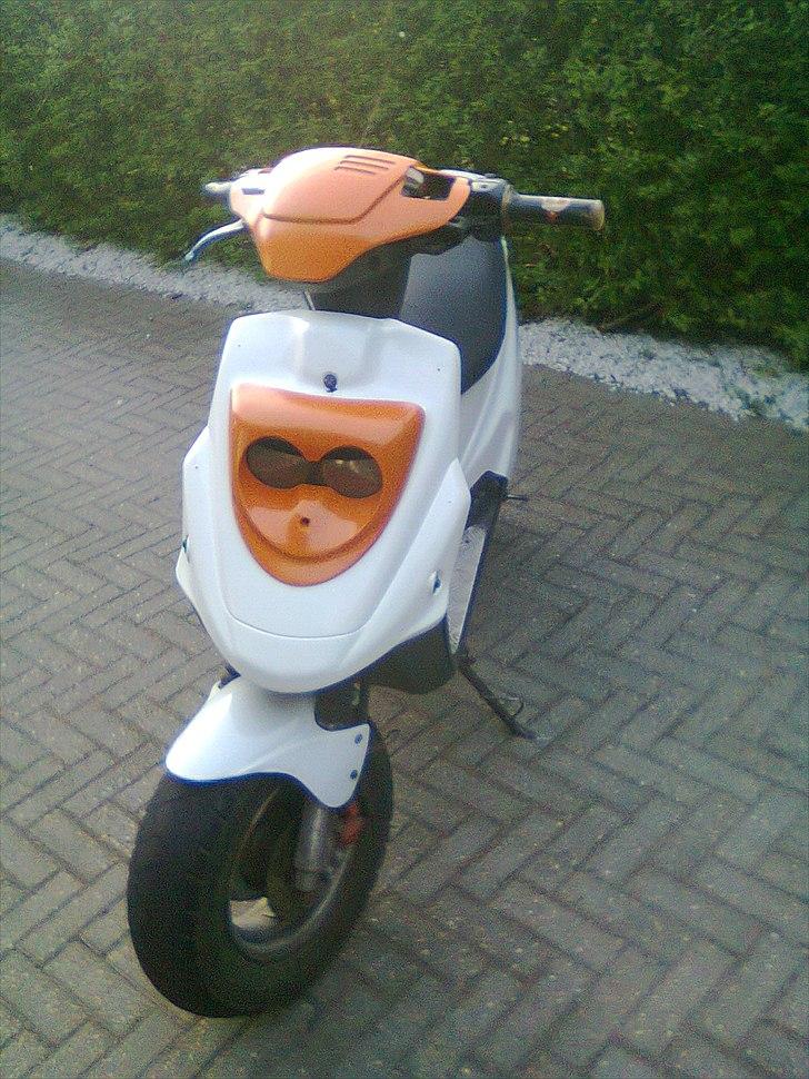 PGO hot 50 (byttet) billede 6