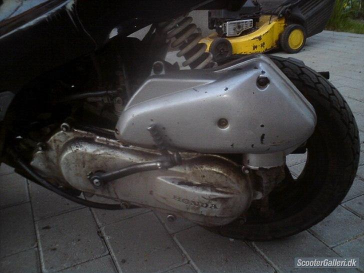 Honda Sfx byttet til bws billede 3