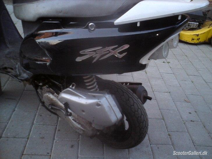 Honda Sfx byttet til bws billede 4