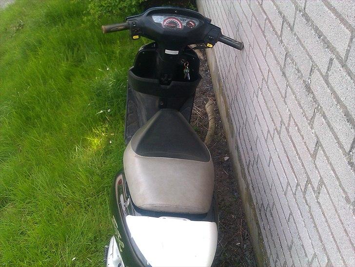 Honda Sfx Byttet til SF2 billede 3