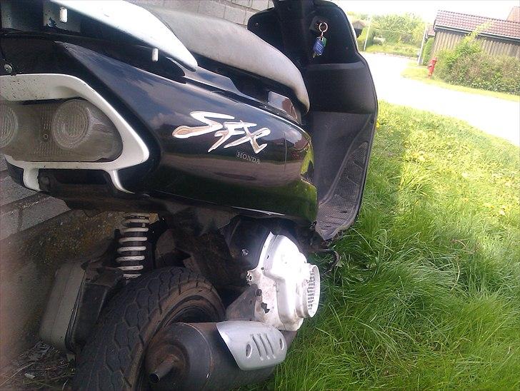 Honda Sfx Byttet til SF2 billede 8