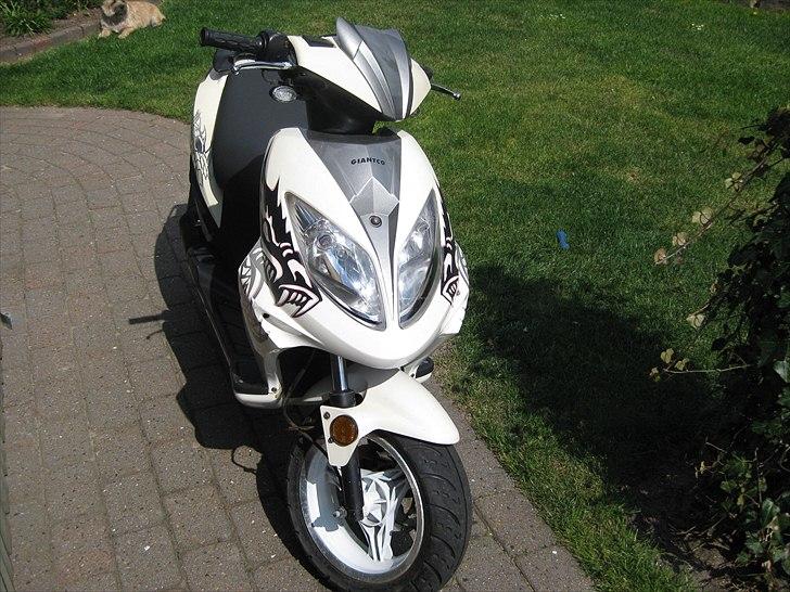 Giantco Spartan *SOLGT* billede 4