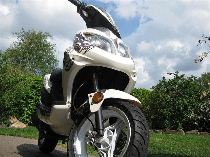 Giantco Spartan *SOLGT* billede 5