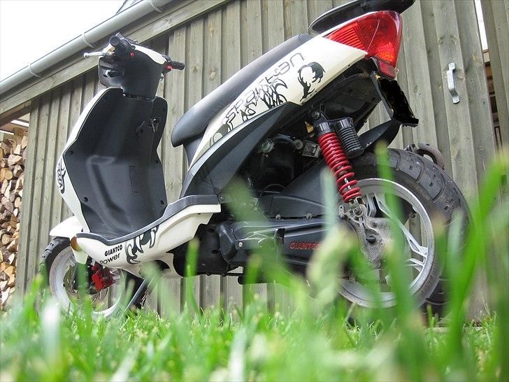 Giantco Spartan *SOLGT* billede 8