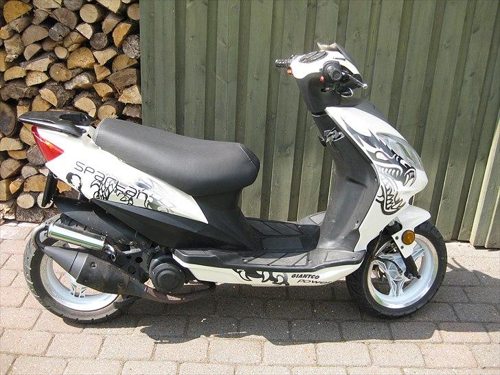 Giantco Spartan *SOLGT* billede 17