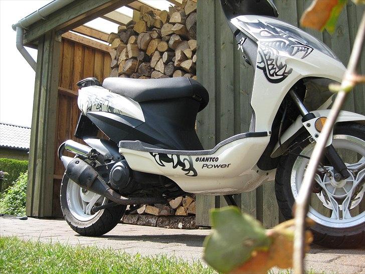 Giantco Spartan *SOLGT* billede 20