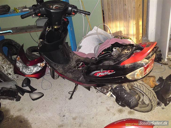 Giantco Sprint  billede 1