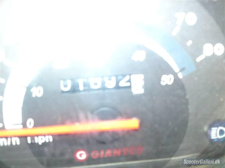 Giantco Sprint  billede 3