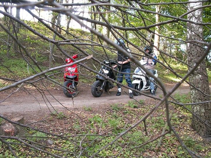 Gilera Stalker sport billede 4