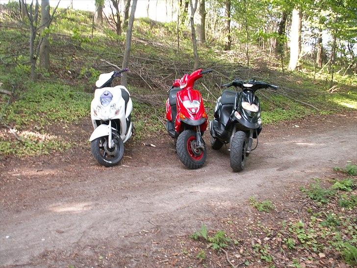 Gilera Stalker sport billede 5