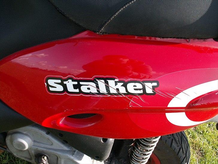 Gilera Stalker sport billede 7