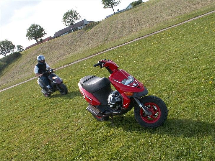 Gilera Stalker sport billede 9