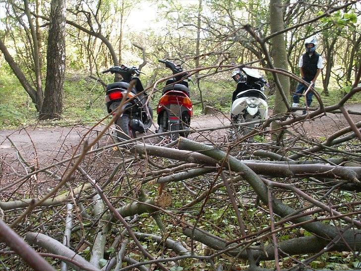 Gilera Stalker sport billede 13