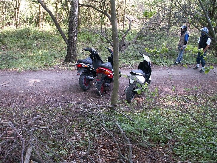 Gilera Stalker sport billede 14