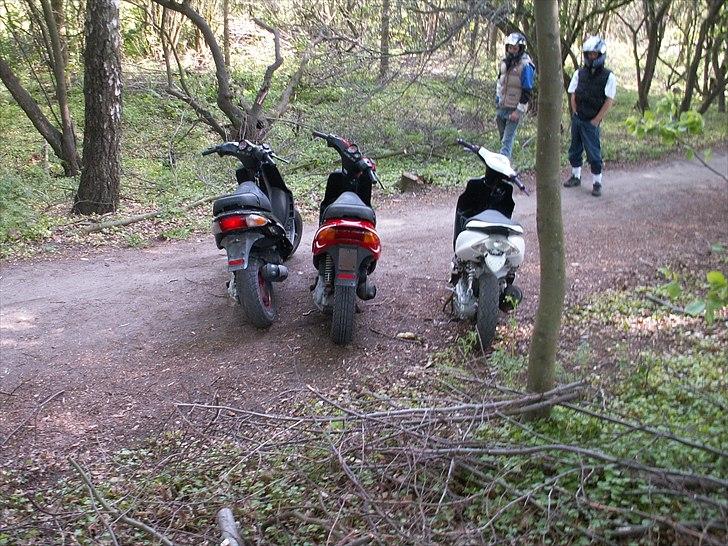 Gilera Stalker sport billede 15