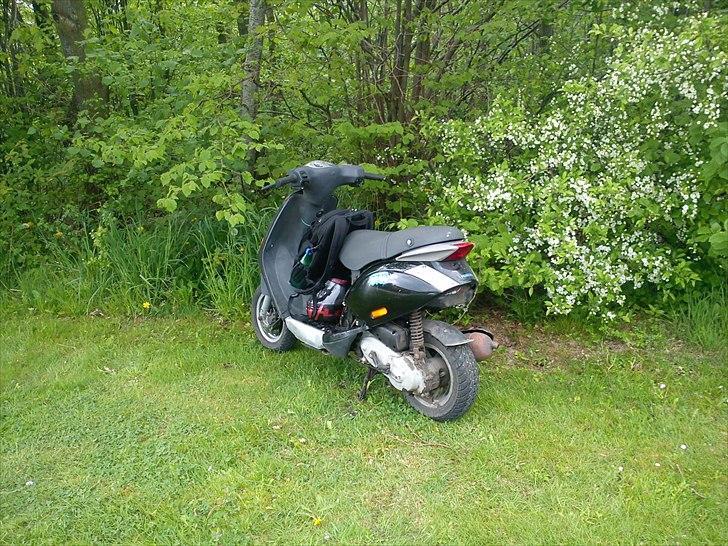 Piaggio ( TIL SALG )New Zip billede 7