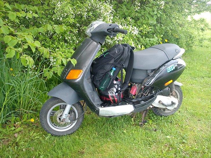 Piaggio ( TIL SALG )New Zip billede 10