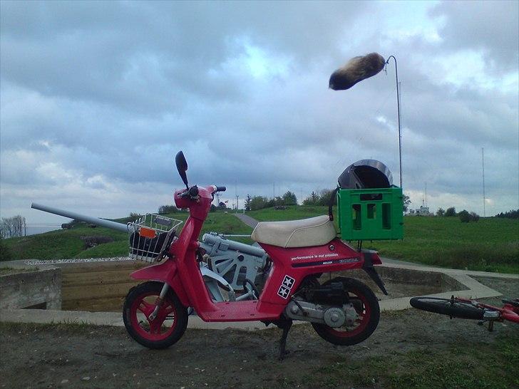 Honda Melody Mini Knallertmis! billede 1