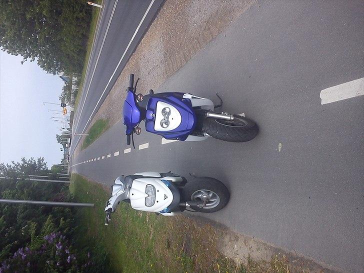 PGO Hot 50 billede 6