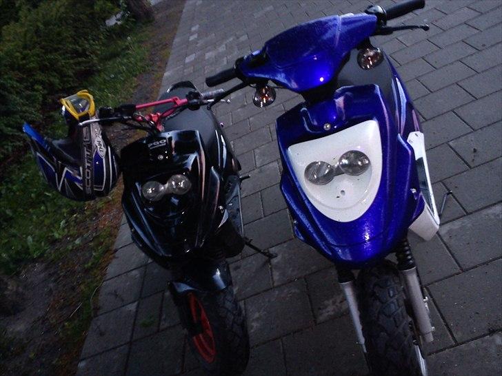 PGO Hot 50 billede 8