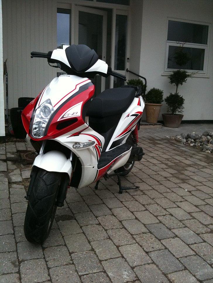 Giantco G10 billede 1