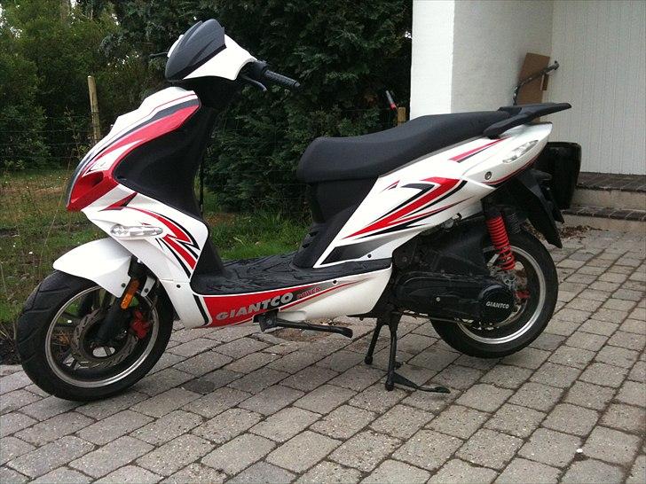 Giantco G10 billede 2