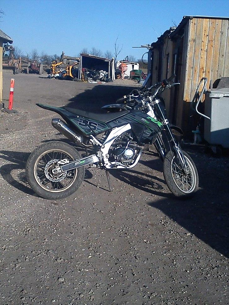 Apollo Orion   aragon billede 3