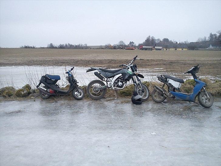 Apollo Orion   aragon billede 5