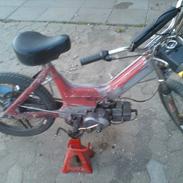 Puch puch maxi 