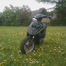 PGO Hot 50 - Solgt -