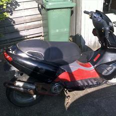 Benelli 491 gt