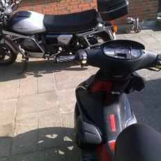 Benelli 491 gt