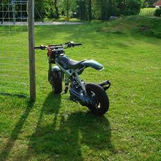 Suzuki Street Magic 