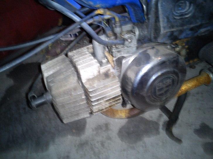 Puch Maxi  billede 4