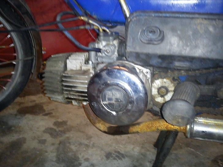 Puch Maxi  billede 6