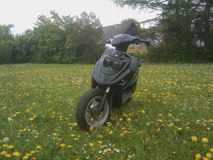 PGO Hot 50 - Solgt - - Fin front billede 1