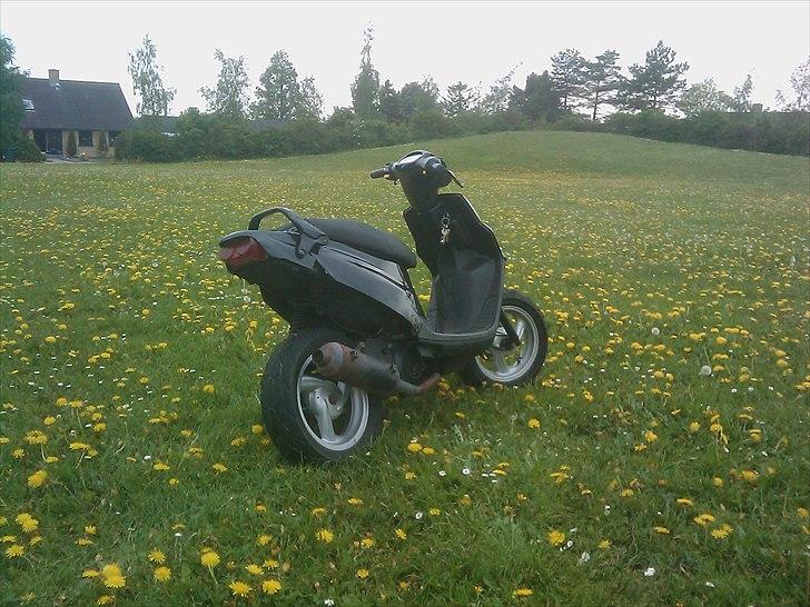 PGO Hot 50 - Solgt - billede 3