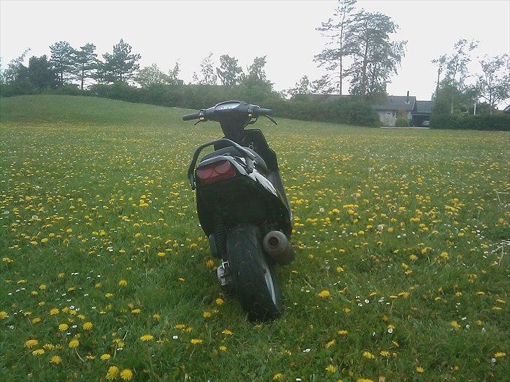 PGO Hot 50 - Solgt - billede 4