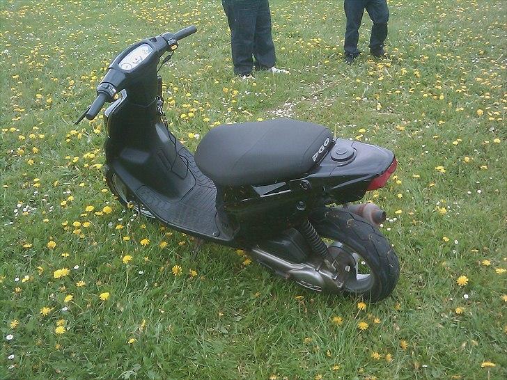 PGO Hot 50 - Solgt - billede 15