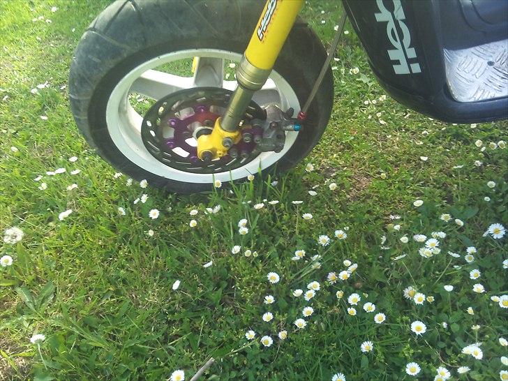 Aprilia rally baneracer billede 9