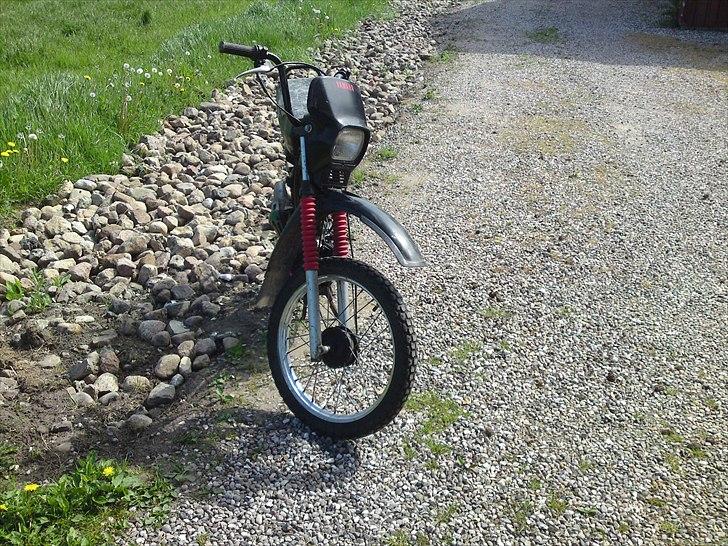 Yamaha sting billede 1