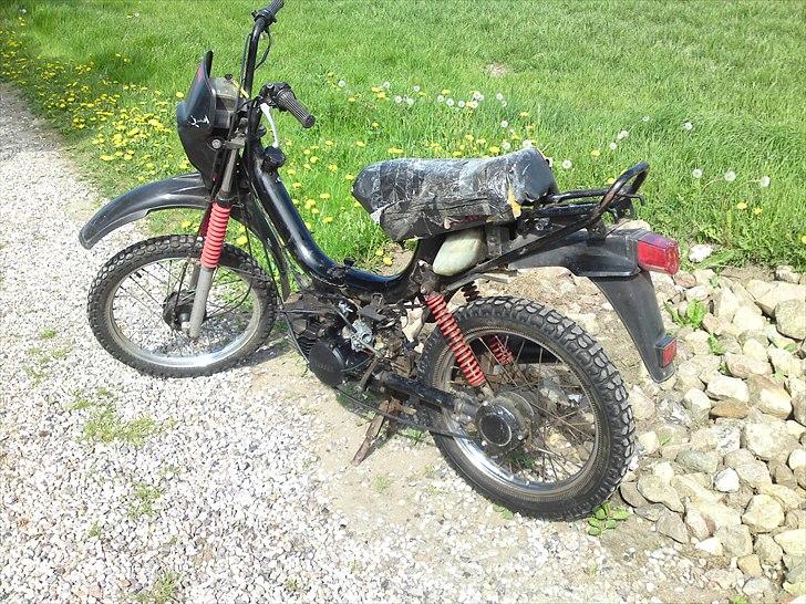 Yamaha sting billede 3