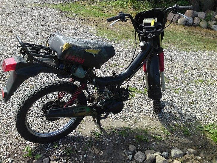 Yamaha sting billede 5