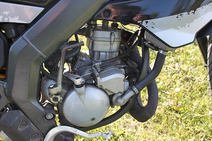 Derbi Senda Sm Extreme billede 11