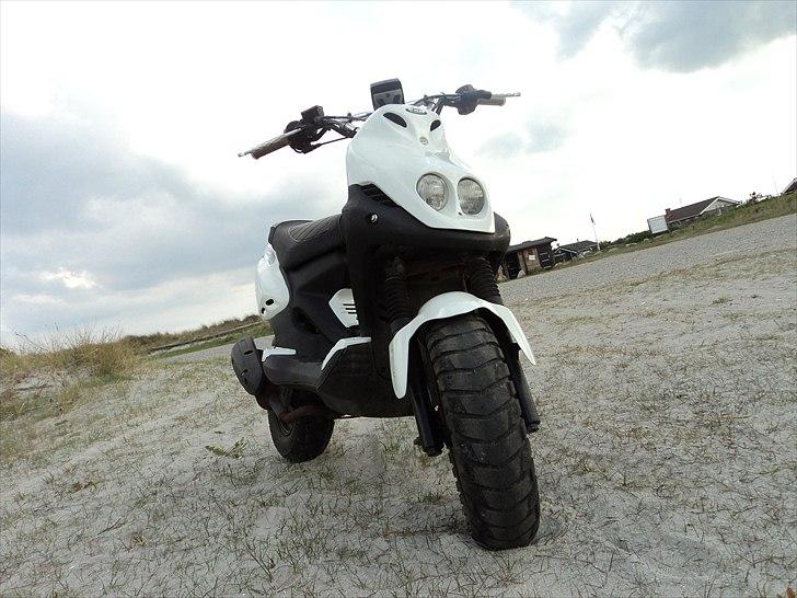 PGO PMX Naked billede 5