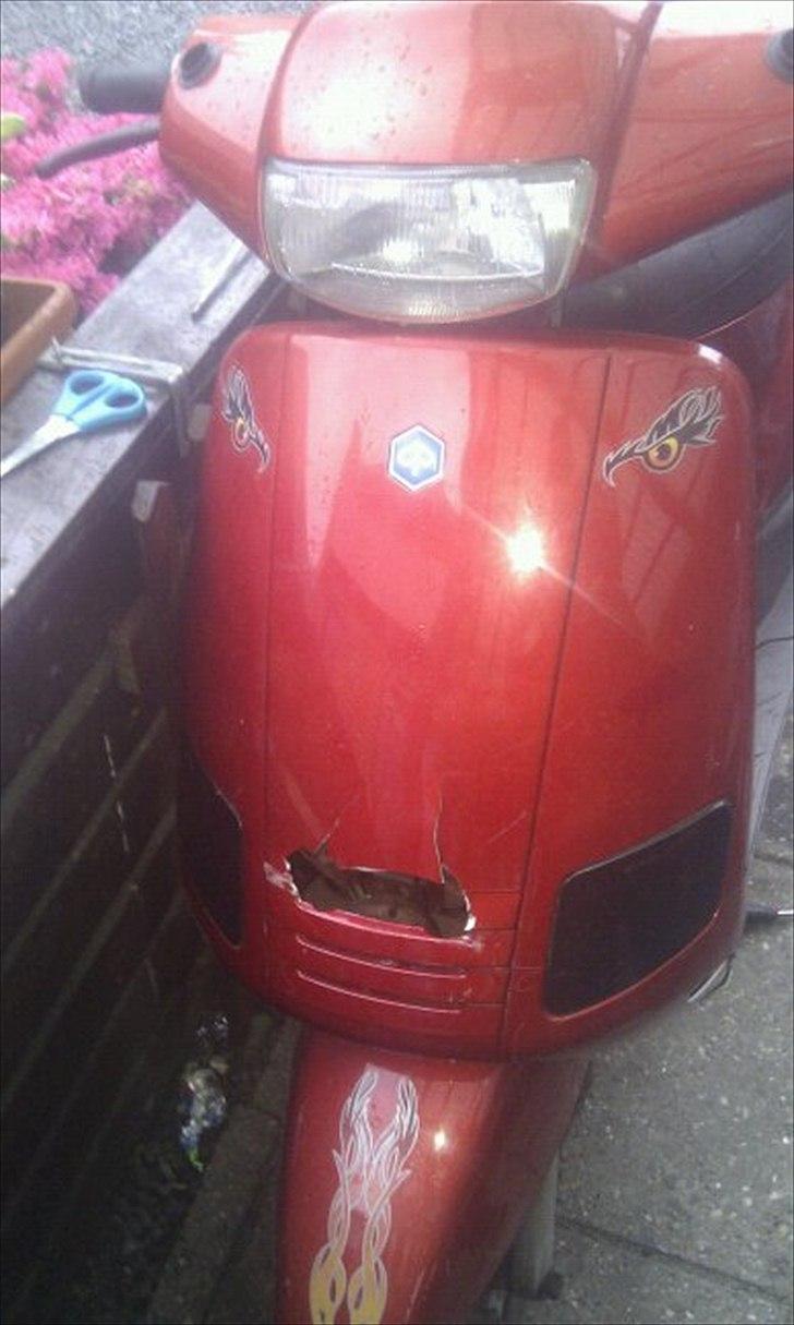 Piaggio zip billede 1