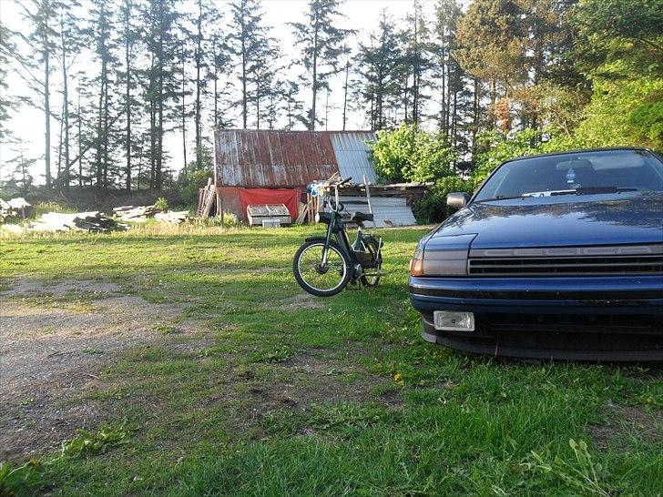 Puch Maxi K- Anden motor billede 15