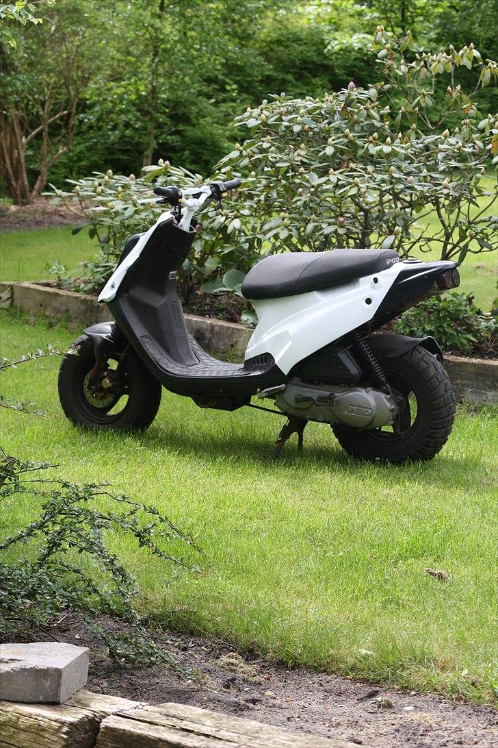 PGO Hot 50 billede 3